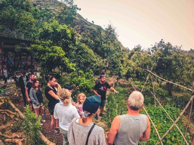 The Rainforest Tour - Small Group Trip with Tasting | Gran Canaria