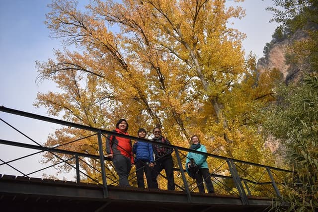 Hike along the Gollizno route, Granada