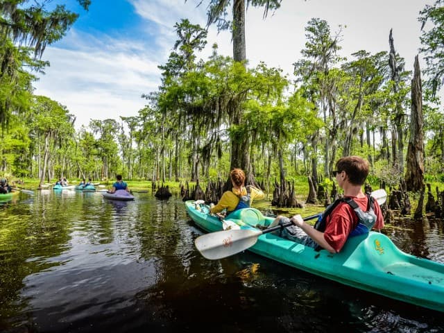 Kayak Swamp and Whitney Plantation Combo Tour | Louisiana