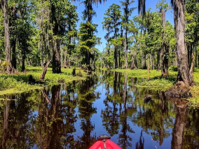Extended Manchac Kayak Tour | Louisiana