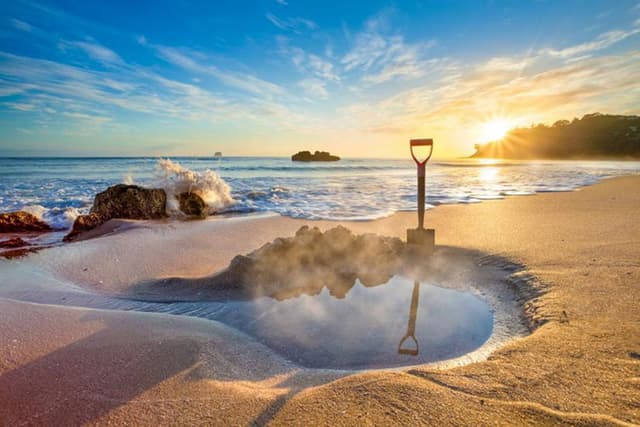 Cathedral Cove, Hot Water Beach & Coromandel Small Group Day Tour from Auckland