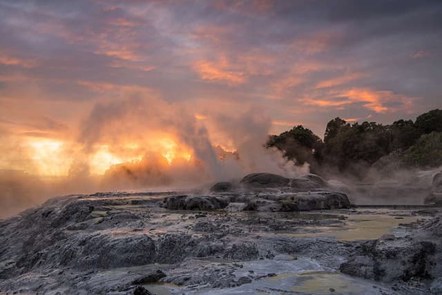 Rotorua Highlights incl. Te Puia & Polynesian Spa Small Group Tour from Auckland