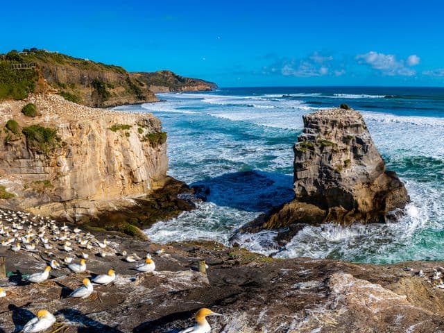 Auckland's Wild West Coast & Black Sand Beaches Tour including Brewery Lunch