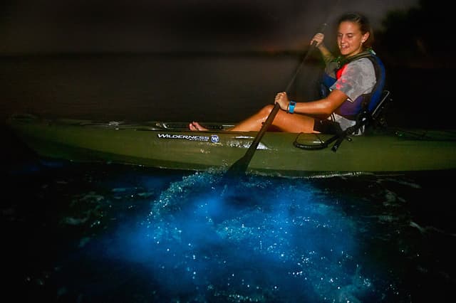 Bioluminescence Kayak Tour
