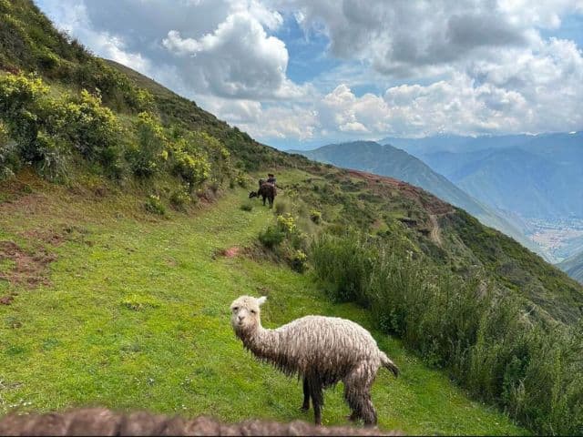 Peru: History, Adventure and Culture