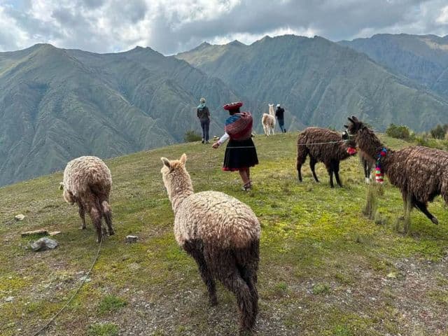 Live, Experience and Dream - Cusco and Machu Picchu