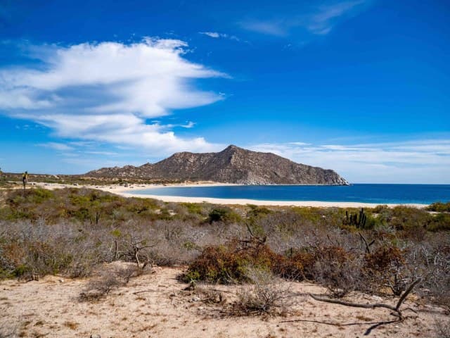 Private Jeep Tour Cabo Pulmo | Depart Cabo San Lucas