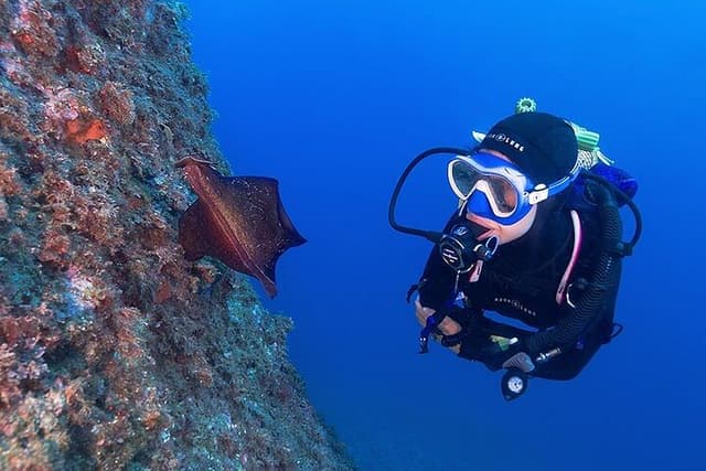 Small-Group Discover Scuba Diving Adventure | Girona, Spain