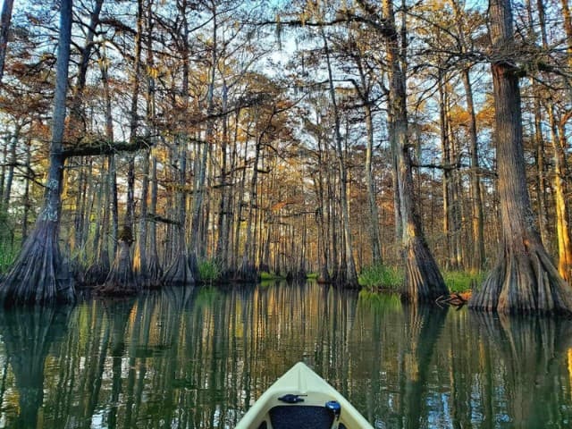 The Last Wilderness Kayak Tour | Louisiana