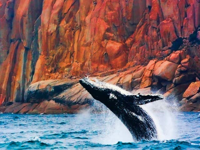 Wineglass Bay Cruises - Vista Lounge (including Ploughmans Lunch)