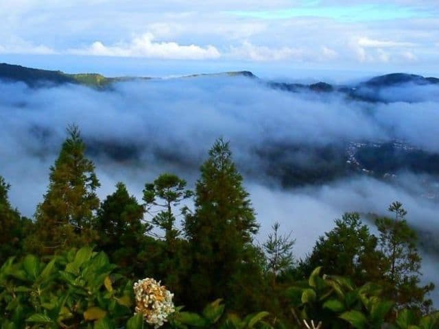 Half Day West Tour - Sete Cidades Volcano & Lakes